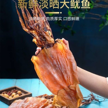 鱿鱼干盐干鱿鱼淡干鱿鱼干干货批发直供