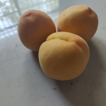 黄桃