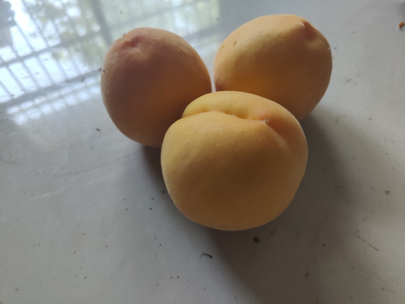 黄桃