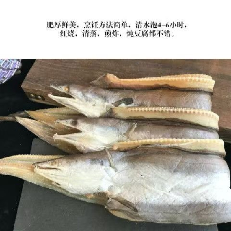 海鳗鱼干淡干鳗鱼干盐干鳗鱼干八成干度鳗鱼干，一手货源晒场直供