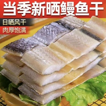 海鳗鱼干淡干鳗鱼干盐干鳗鱼干八成干度鳗鱼干，一手货源晒场直供