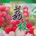 镇隆特产荔枝