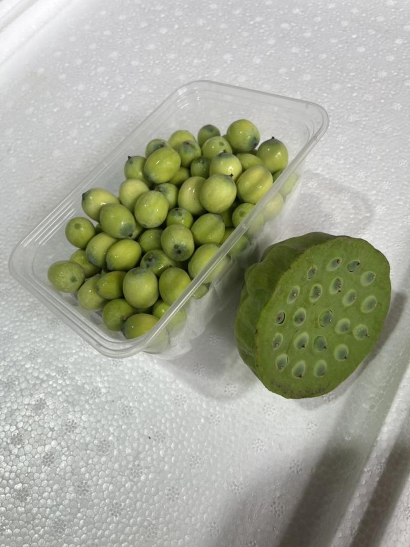 4/7.5成熟青莲米