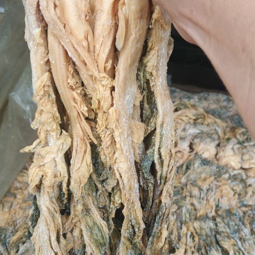 梅菜