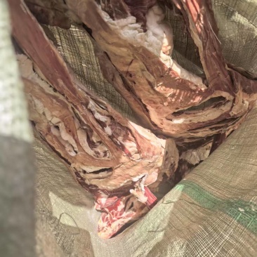 大量杭锦旗草场风干羊肉低价出售量大还能便宜