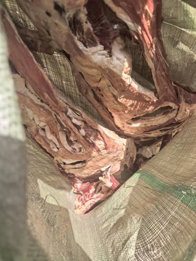 大量杭锦旗草场风干羊肉低价出售量大还能便宜