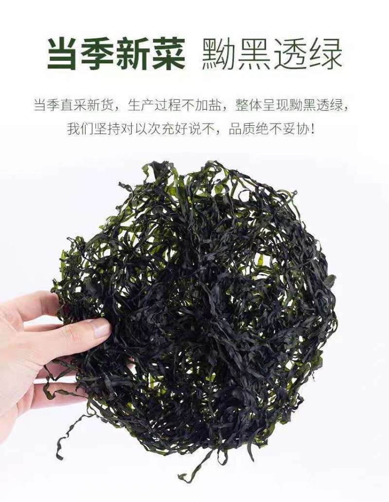 《精选》新品海带丝无盐无沙免洗烘干海带丝批发
