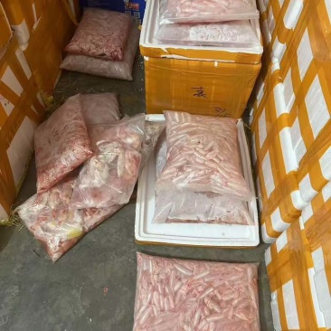 大白叼鱼泡规格可做