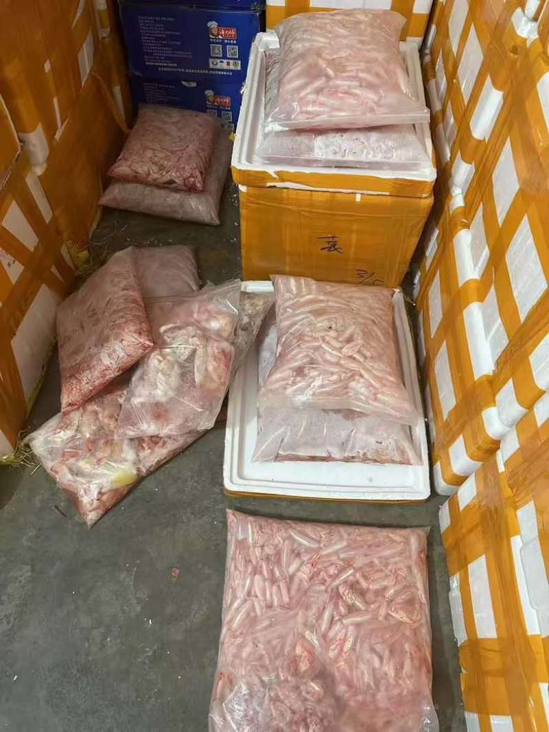 大白叼鱼泡规格可做