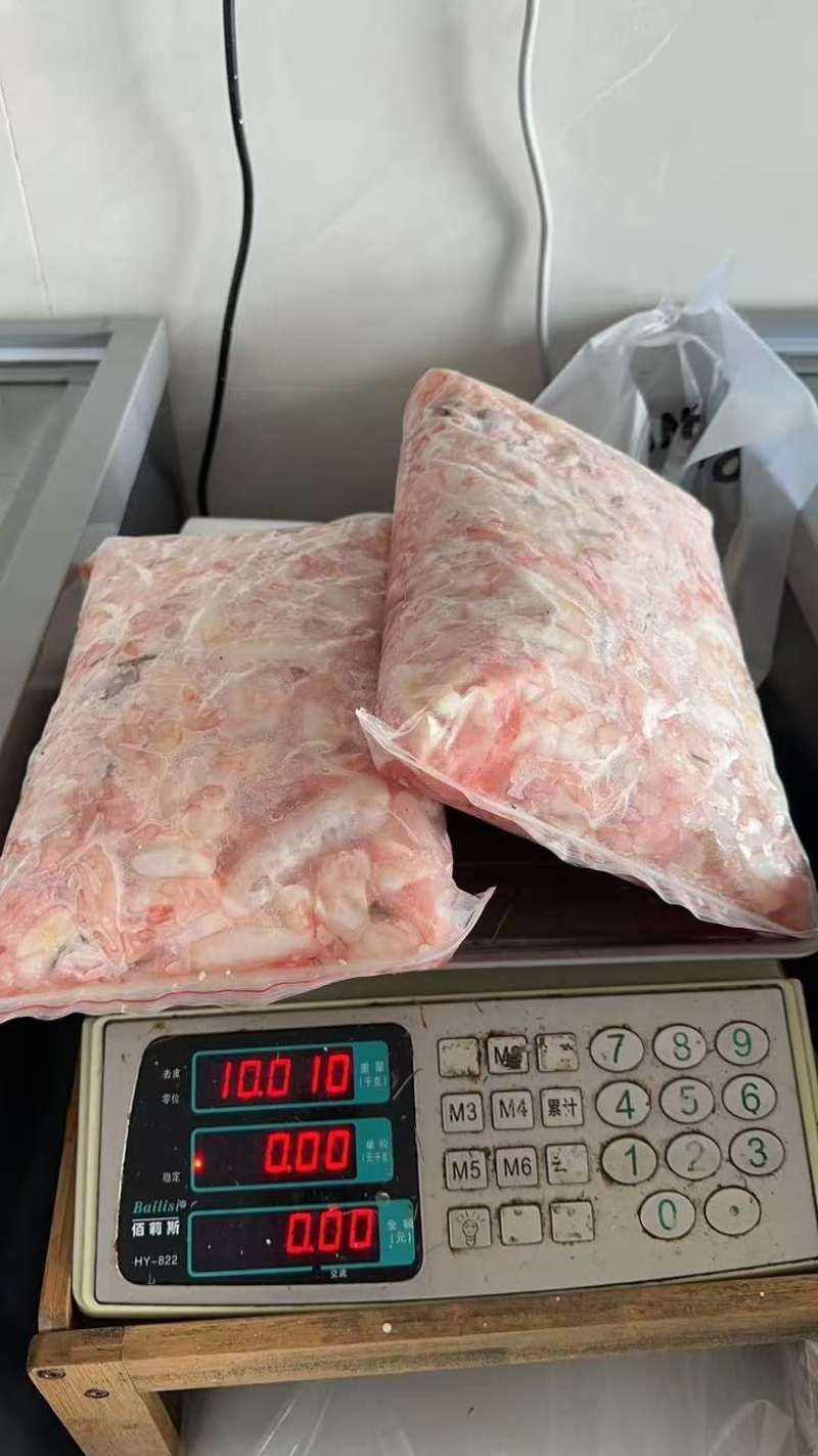 大白叼鱼泡规格可做