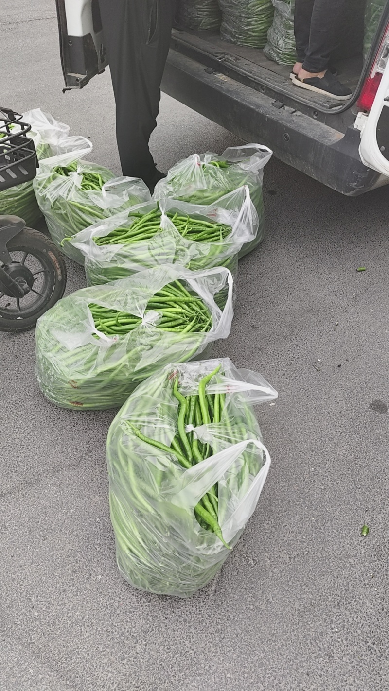 精品线椒，需要的联系