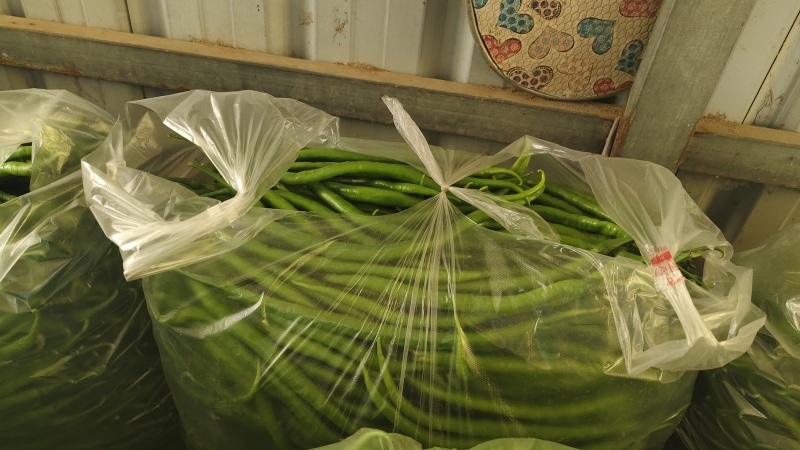 精品线椒，需要的联系