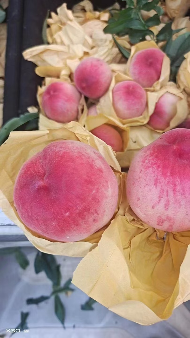 突围大量现货