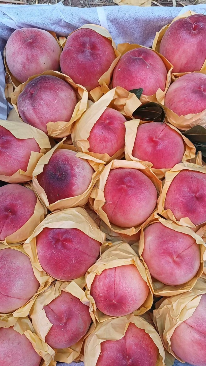 突围大量现货