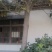 银杏树，广玉兰，枇杷树