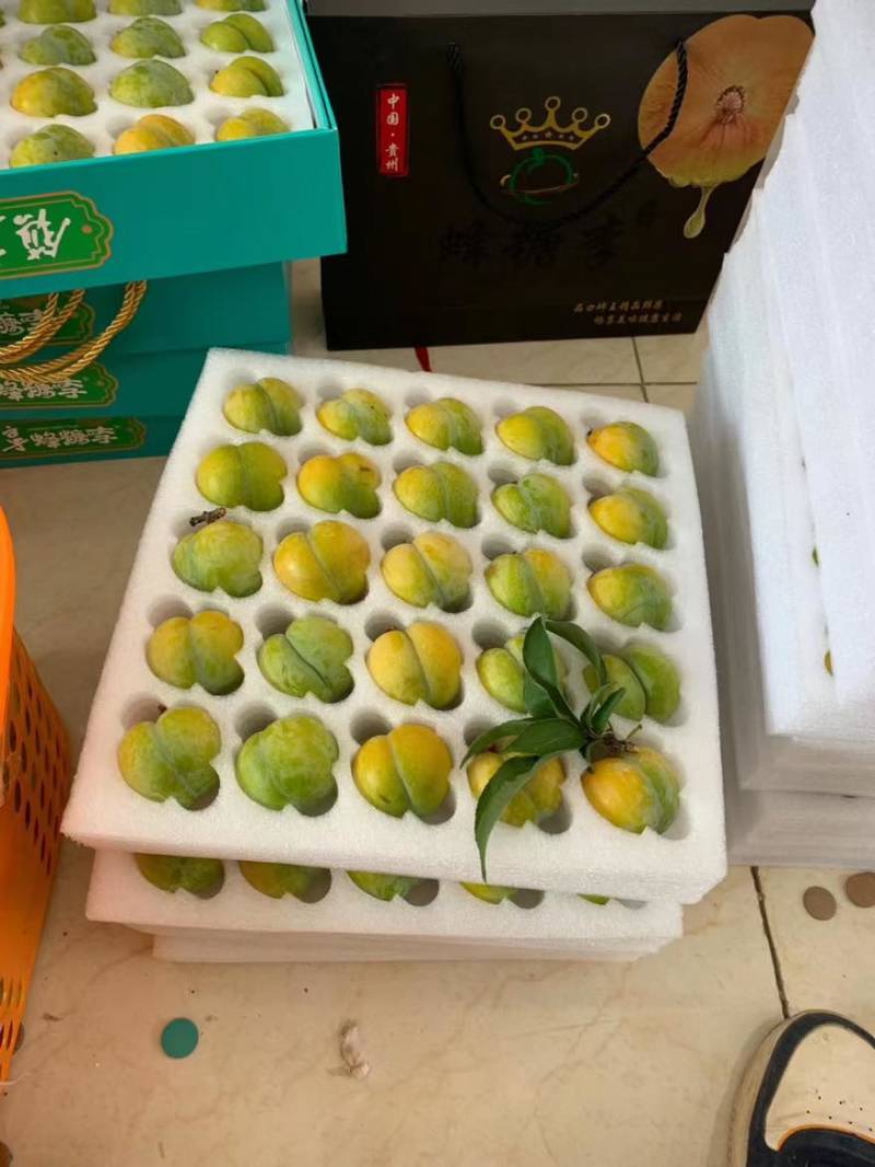 贵州六马蜂糖李上市