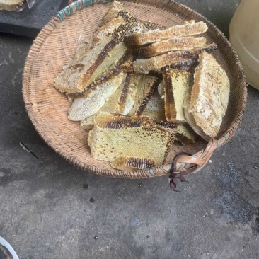 纯正宗土蜂蜜蜜