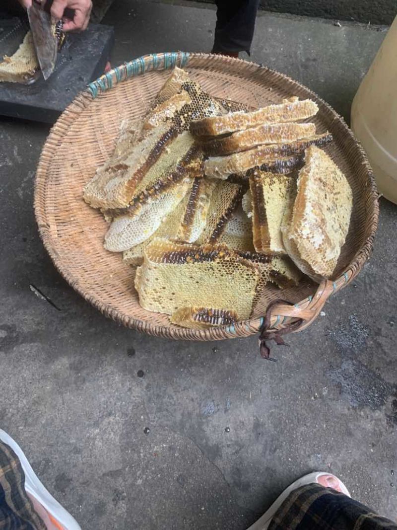 纯正宗土蜂蜜蜜