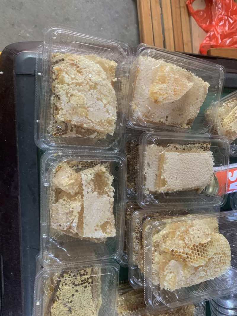纯正宗土蜂蜜蜜