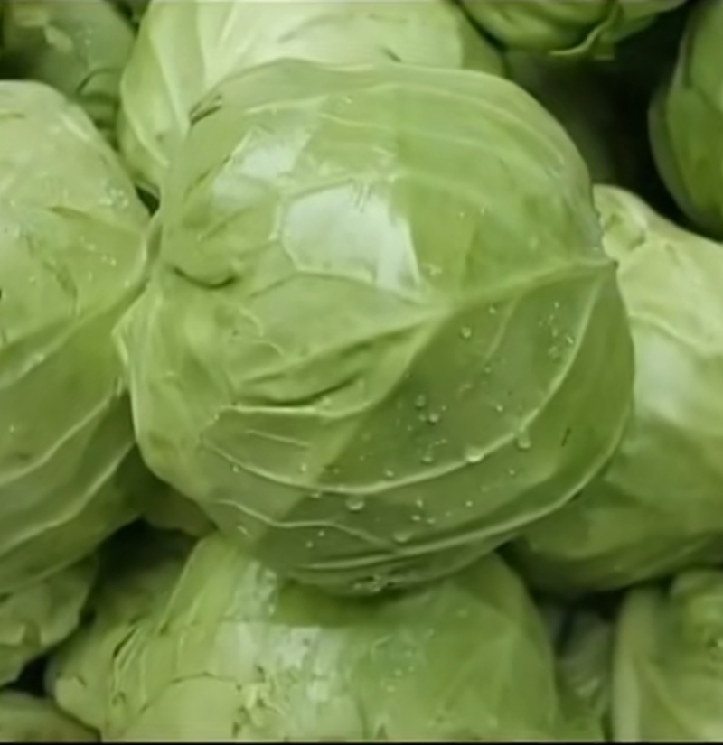 圆包菜，莲花白，