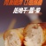 85％鸡胸肉含量，不含糖，不含淀粉，减脂健身人群专属