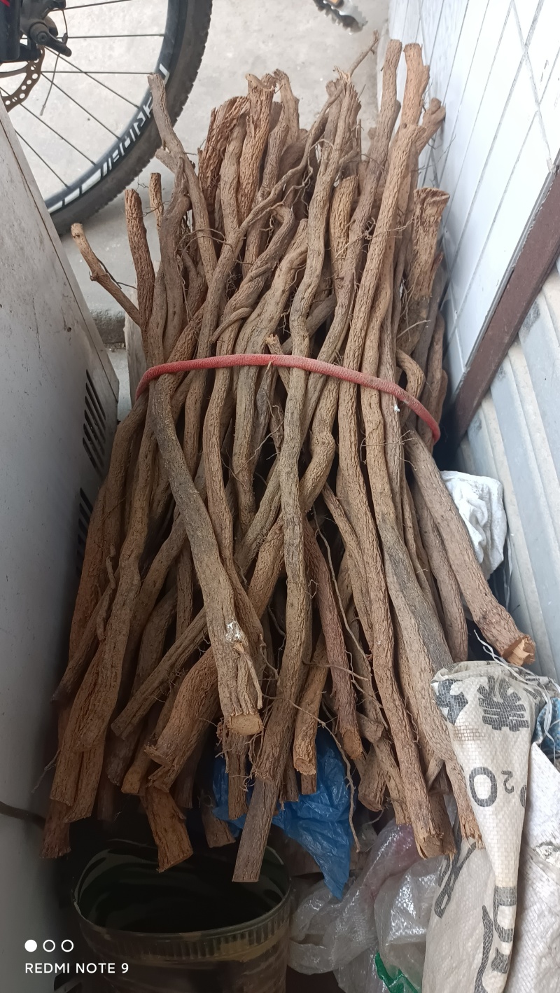铁包金，全根茎，枝杆另订