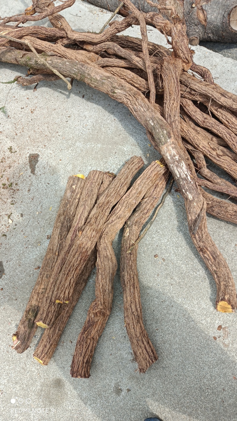 铁包金，全根茎，枝杆另订