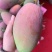 台农，什么品种都有
