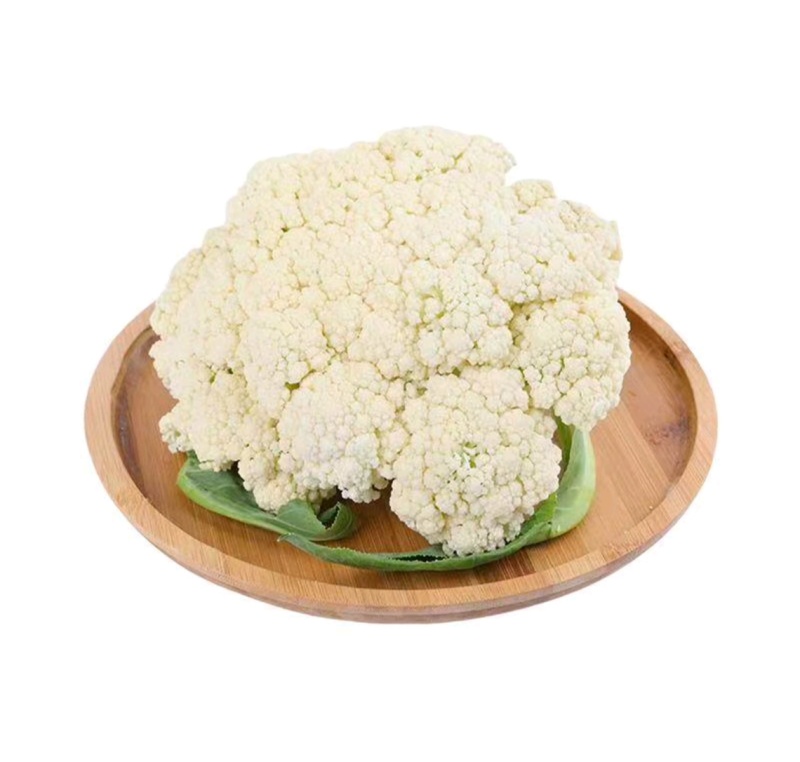 山东菜花