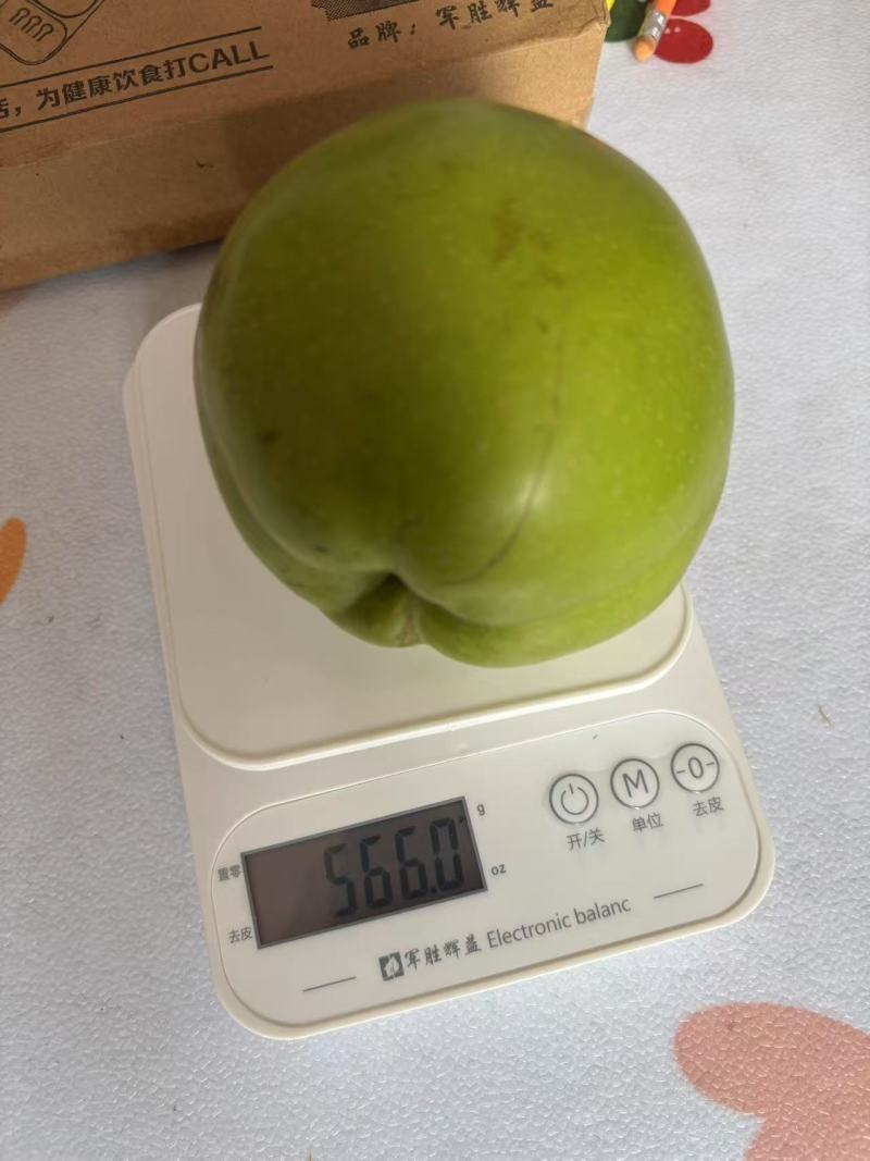 酥脆一号个头大，水分足，甜度够，要多大的有多大的，欢迎订购