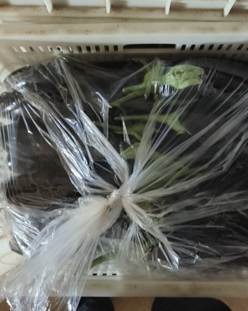 精品蔬菜