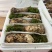 云南香格里拉野生松茸