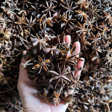 春花八角水烫无硫广西八角一手货源