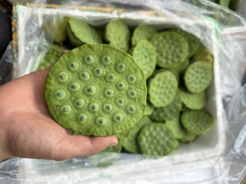 水果莲蓬4/7成熟