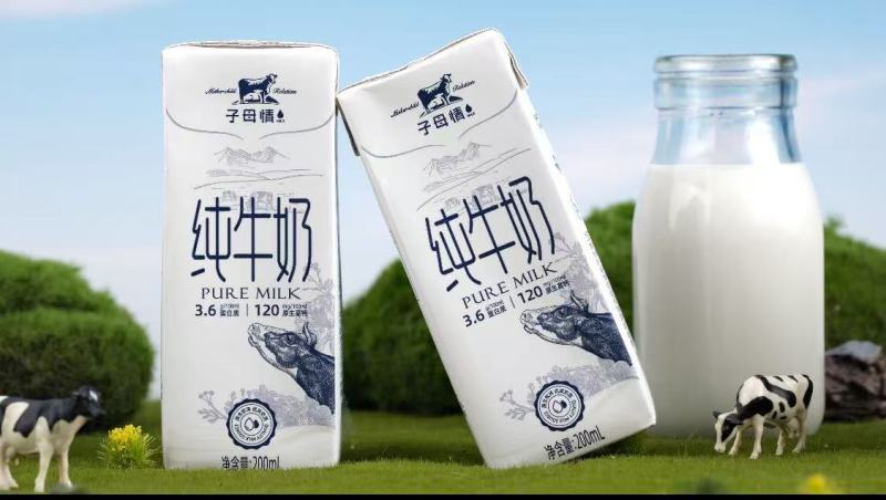 纯牛奶