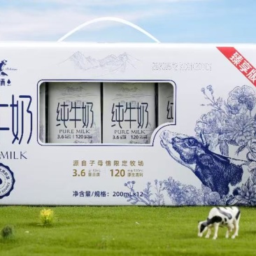 纯牛奶