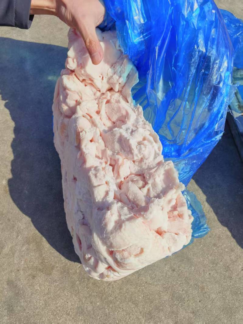 精品去皮肥膘，临沂提，新货手续齐全，纯干货，做馅灌肠