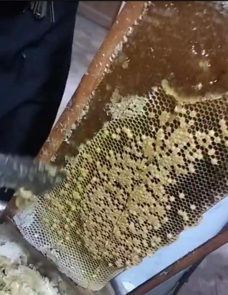 桂园花蜂蜜