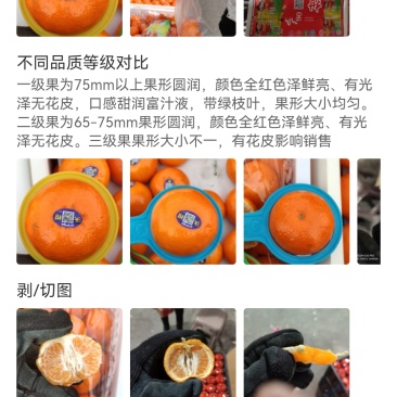 荔枝