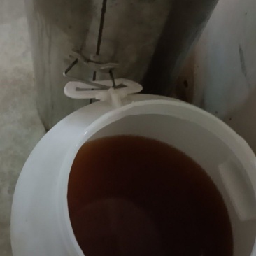 纯蜂蜜