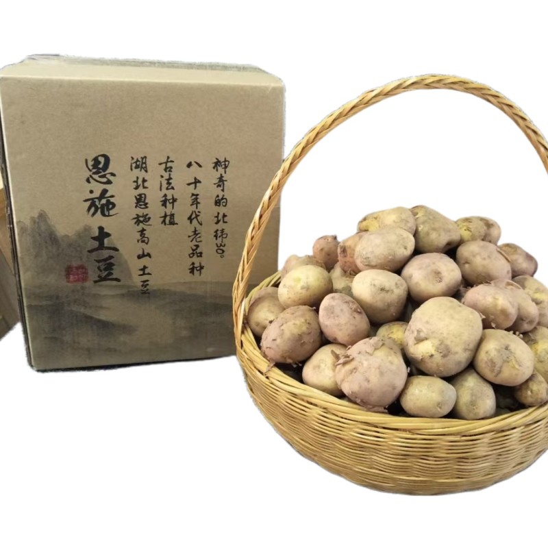 恩施富硒小土豆马儿科