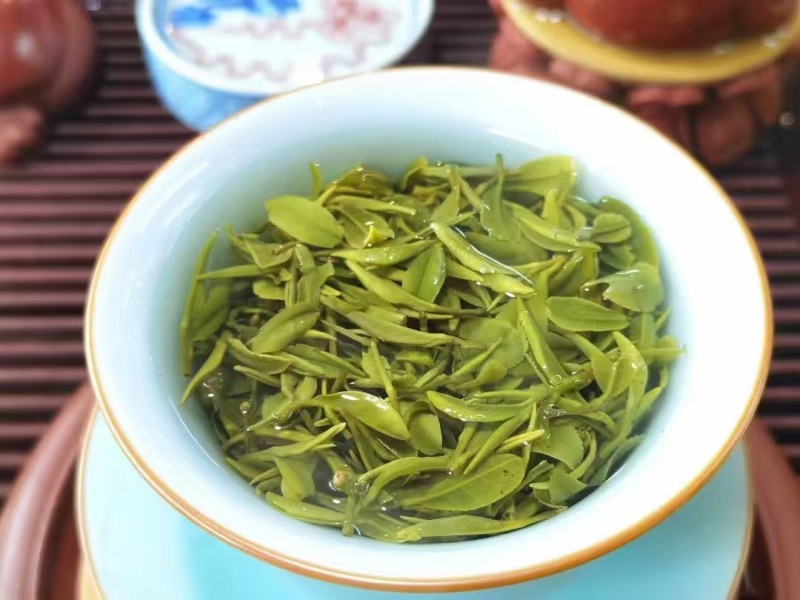 日照绿茶浓香型新茶