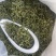 日照绿茶浓香型新茶