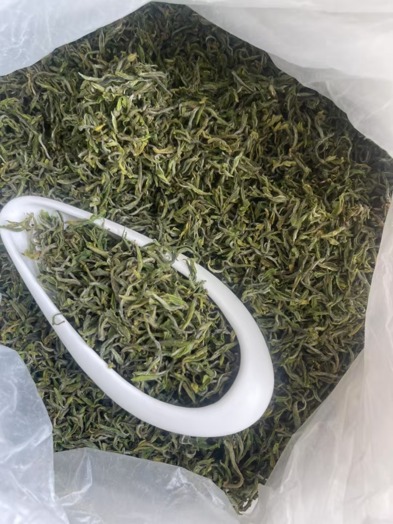日照绿茶浓香型新茶