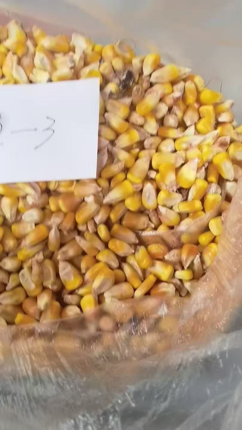 中储三等玉米，两百万吨