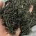 高山云雾茶