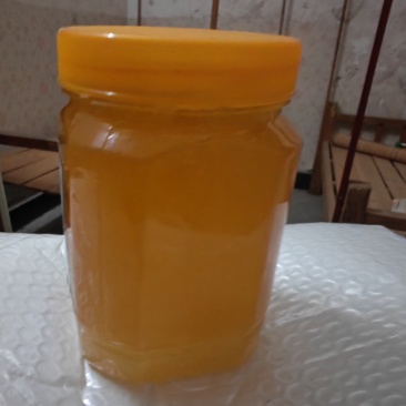 广西桂林全州县土蜂蜜