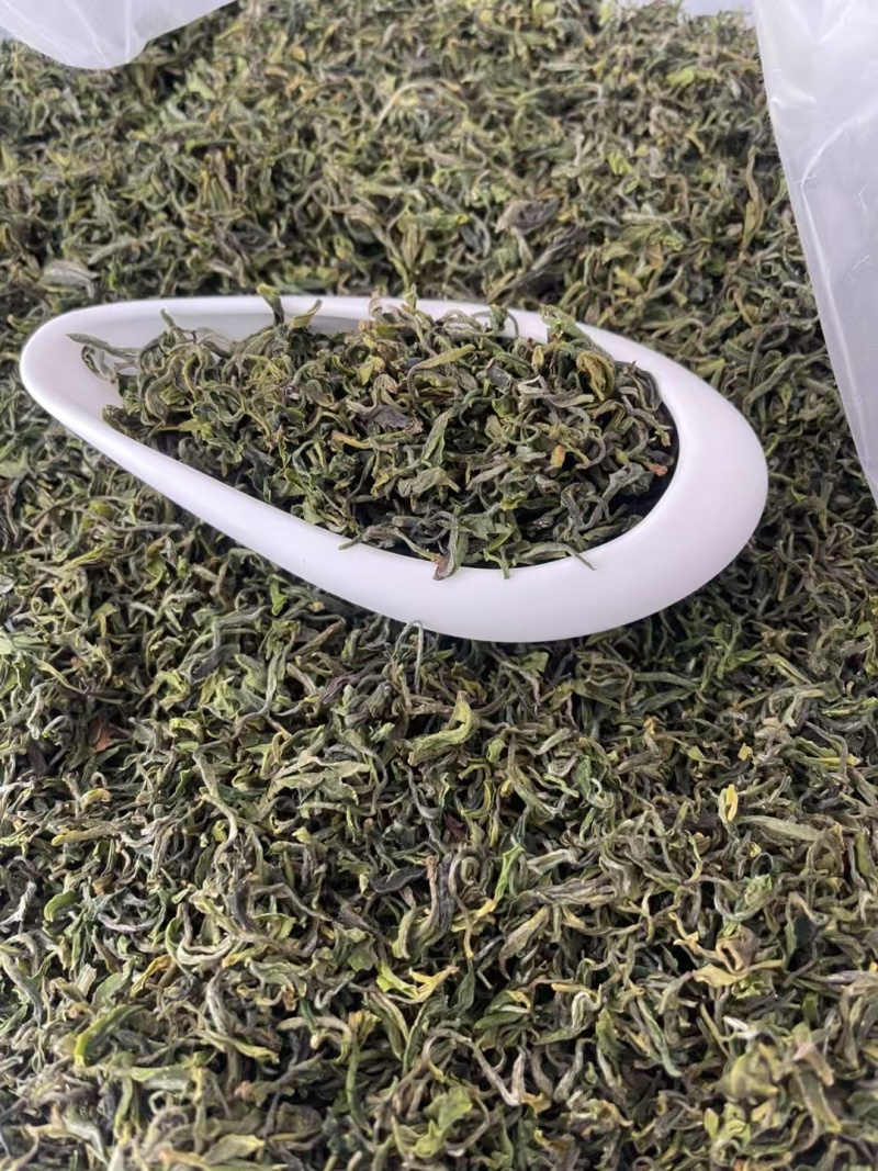 日照绿茶2025新茶
