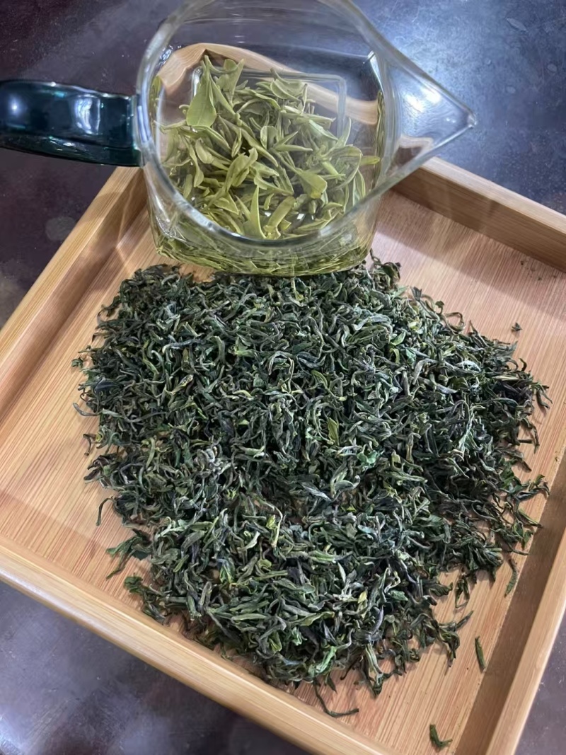 日照绿茶2025新茶