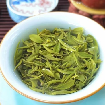 日照绿茶2025新茶